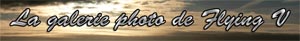 lagalerie_flyingV